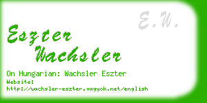 eszter wachsler business card